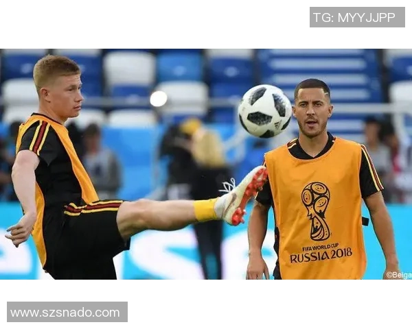 维他足球明星背后的故事与成就揭秘