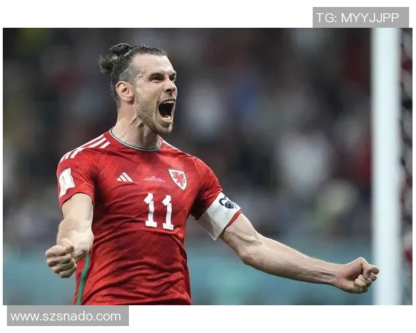 贝尔足球明星的国家背景及其对足球界的影响分析 贝尔足球明星的国家背景及其对足球界的影响分析