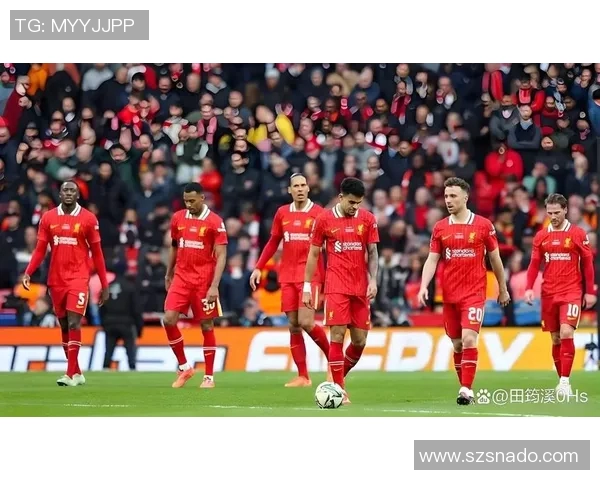 2019年利物浦对阵莱斯特城精彩转播回顾与赛后分析